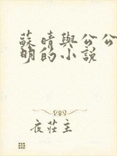 苏晴与公公杨大明的小说