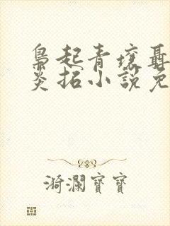 枭起青壤聂九罗炎拓小说免费阅读全文