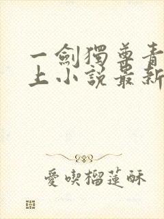 一剑独尊青鸾峰上小说最新章节