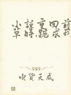 小说重回前夫校草时,跪求我十年后别离阅读