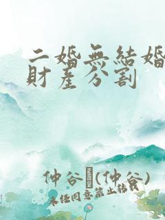 二婚无结婚证的财产分割