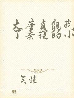 大唐贞观我夺舍了秦琼的小说