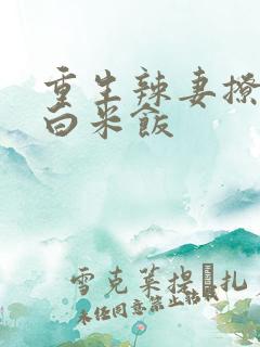 重生辣妻撩夫忙白米饭