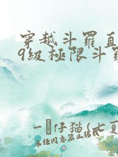 穿越斗罗直接99级极限斗罗的小说