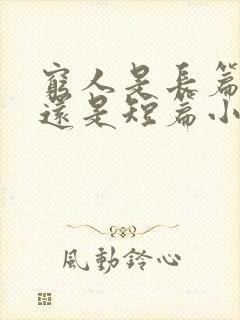 穷人是长篇小说还是短篇小说