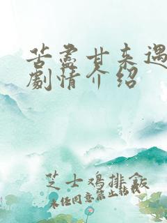 苦尽甘来遇见你剧情介绍