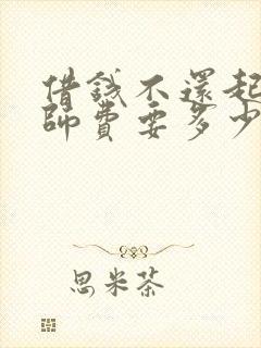 借钱不还起诉律师费要多少