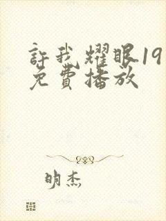 许我耀眼19集免费播放