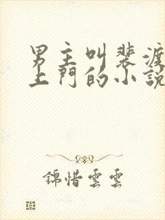 男主叫裴渡女主上门的小说