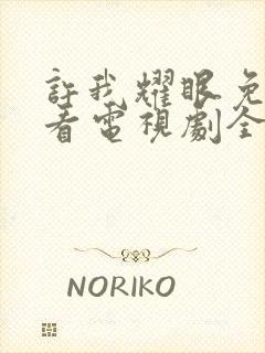 许我耀眼免费观看电视剧全集在线播放高清