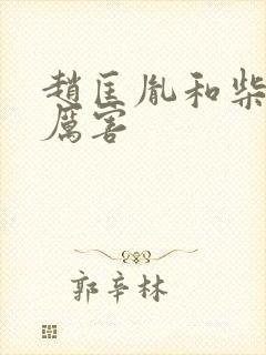 赵匡胤和柴荣谁厉害