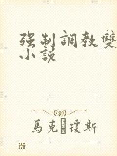 强制调教双男主小说