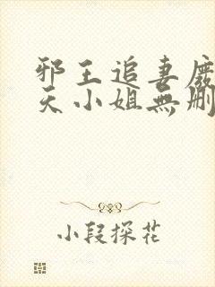 邪王追妻废材逆天小姐无删减