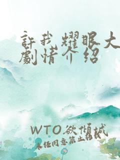 许我耀眼大结局剧情介绍