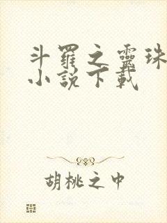 斗罗之灵珠神剑小说下载