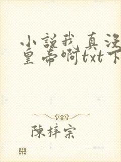 小说我真没想当皇帝啊txt下载