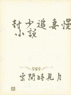 封少追妻慢慢宠 小说