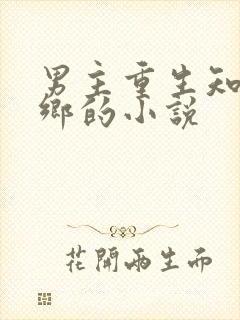 男主重生知青下乡的小说