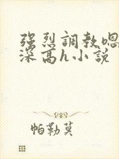 强烈调教嗯啊好深高h小说