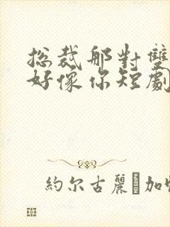 总裁那对双胞胎好像你短剧大结局