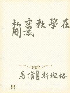 私密教学在线无删减