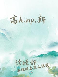高h.np,新
