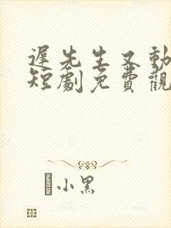 迟先生又动心了短剧免费观看全集高