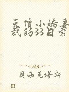 天价小娇妻,总裁的33日索情无删减版