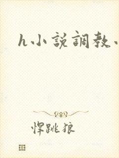 h小说调教小说