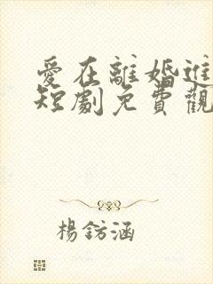 爱在离婚进行时短剧免费观看