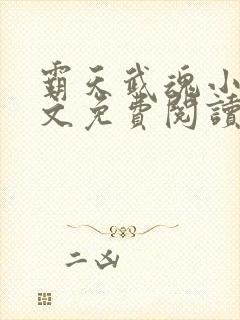 霸天武魂小说全文免费阅读