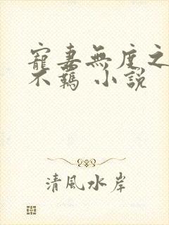 宠妻无度之嫡妃不羁 小说