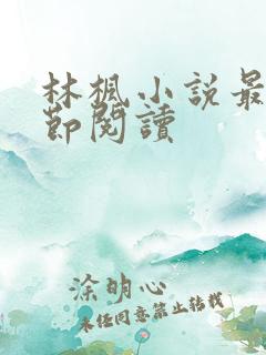 林枫小说最新章节阅读