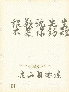 报歉沈先生孩子不是你的短剧大结局