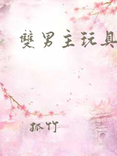 双男主玩具调教