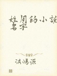 姓周的小说男主名字