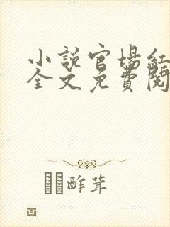 小说官场红颜路全文免费阅读