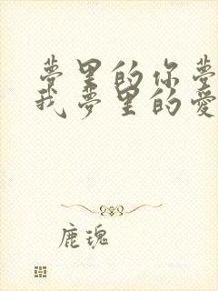 梦里的你梦里的我梦里的爱离我远去是什么歌