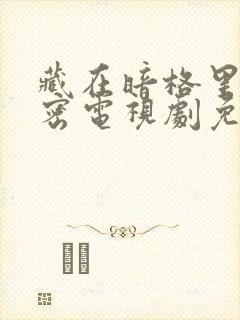 藏在暗格里的秘密电视剧免费观看