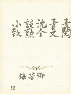 小说沈青青,江致勋全文阅读