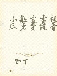 小敏家电视剧西瓜免费观看