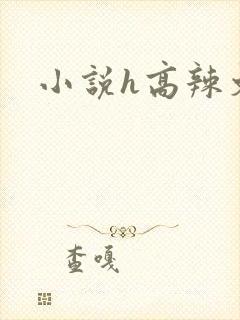 小说h高辣文
