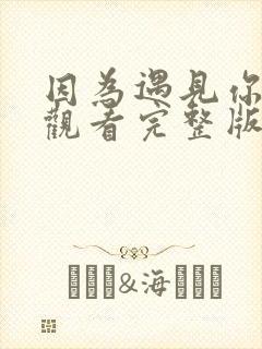 因为遇见你免费观看完整版