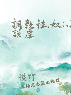 调教性,奴:小说虐