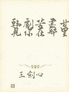 韩剧苦尽甘来遇见你在哪里看