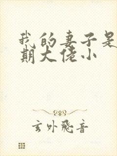 我的妻子是大乘期大佬小