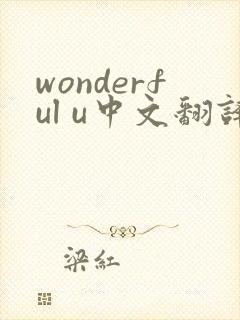 wonderful u中文翻译歌词