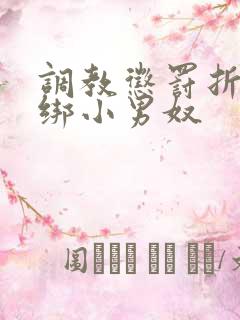 调教惩罚折磨捆绑小男奴