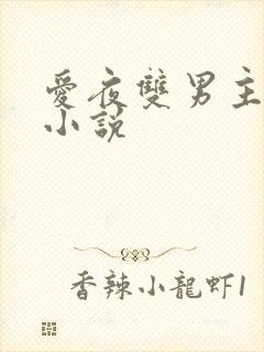 爱夜双男主原版小说