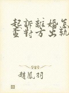 起诉离婚怎么调查对方出轨